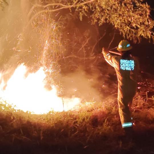 ‘Ambiente por Inteiro’ destaca as brigadas populares de incêndio florestal