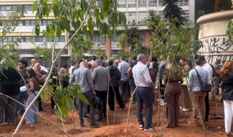 Centro de São Paulo recebe quatro novos bosques urbanos